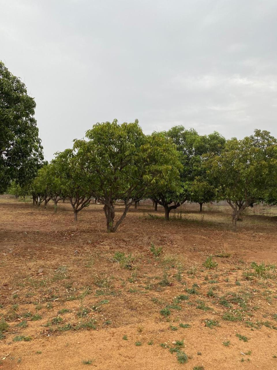 Pn Farm Villa Hyderabad Exterior photo